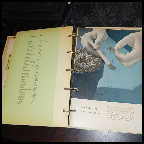 1951 Better Homes and Garden Garden Book - Picture 10 of 16